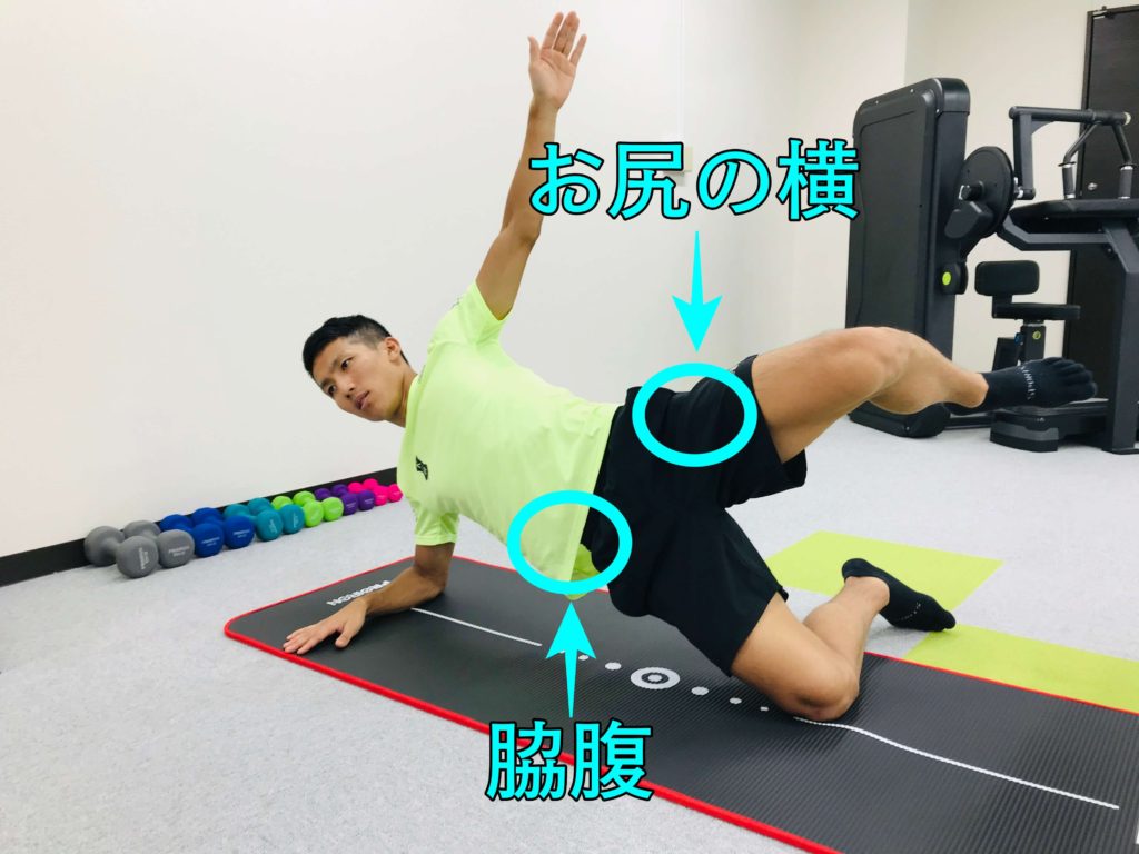 方法論 脚やせをしたいなら体幹トレーニングが効果的である理由 くびれサーキット 広島市中区のセミパーソナルジム 月額7800円でトレーナーつき
