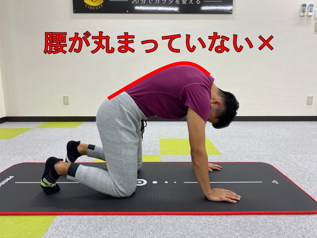 必見 腰痛予防のポイントを徹底解説 セルフストレッチあり くびれサーキット 広島市中区のセミパーソナルジム 月額7800円でトレーナーつき